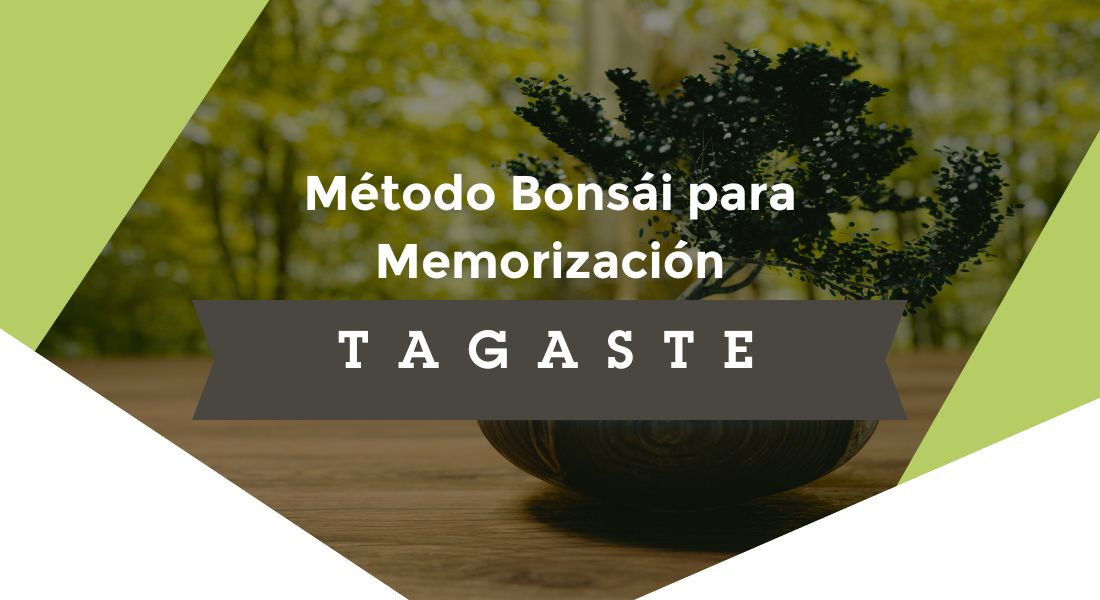 imagen destacada sobre el método bonsái